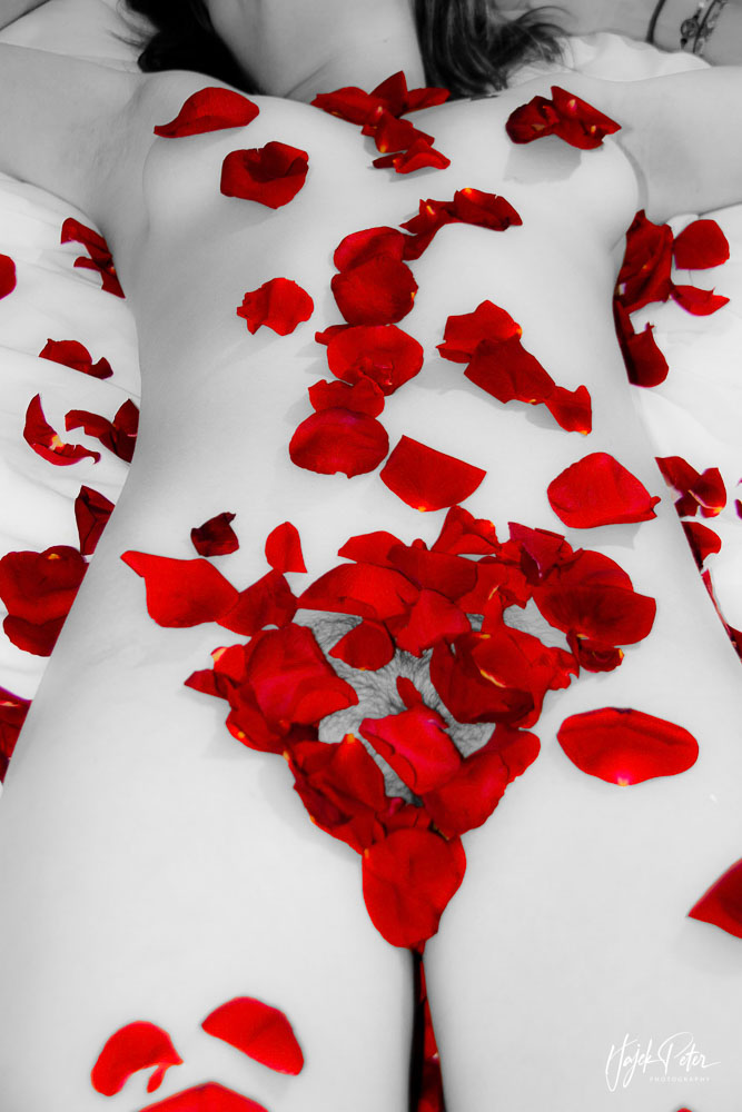 Boudoir- / Dessous- und Aktfotografie